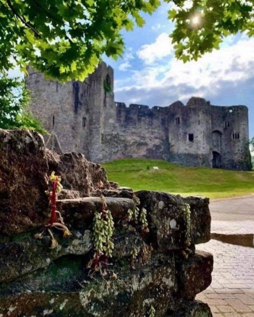 -chepstow_castle_in_background