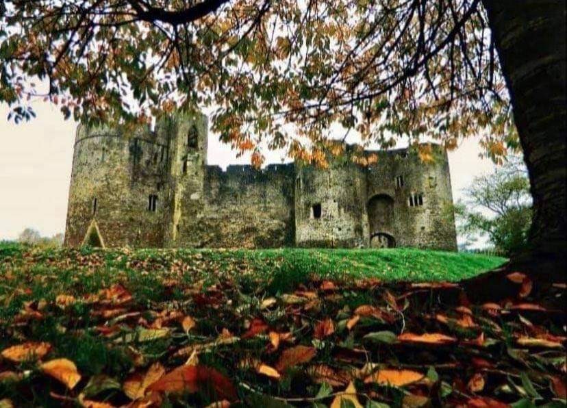 -chepstow_castle_through_fallen_autumn_leaves
